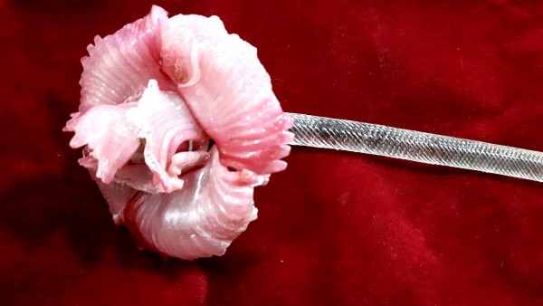 Murano Chandelier Flowers - Pink Flower clear Stem B stock MB1